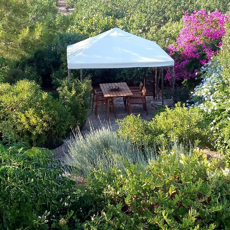 Aegina'S Oasis Villa Exteriör bild