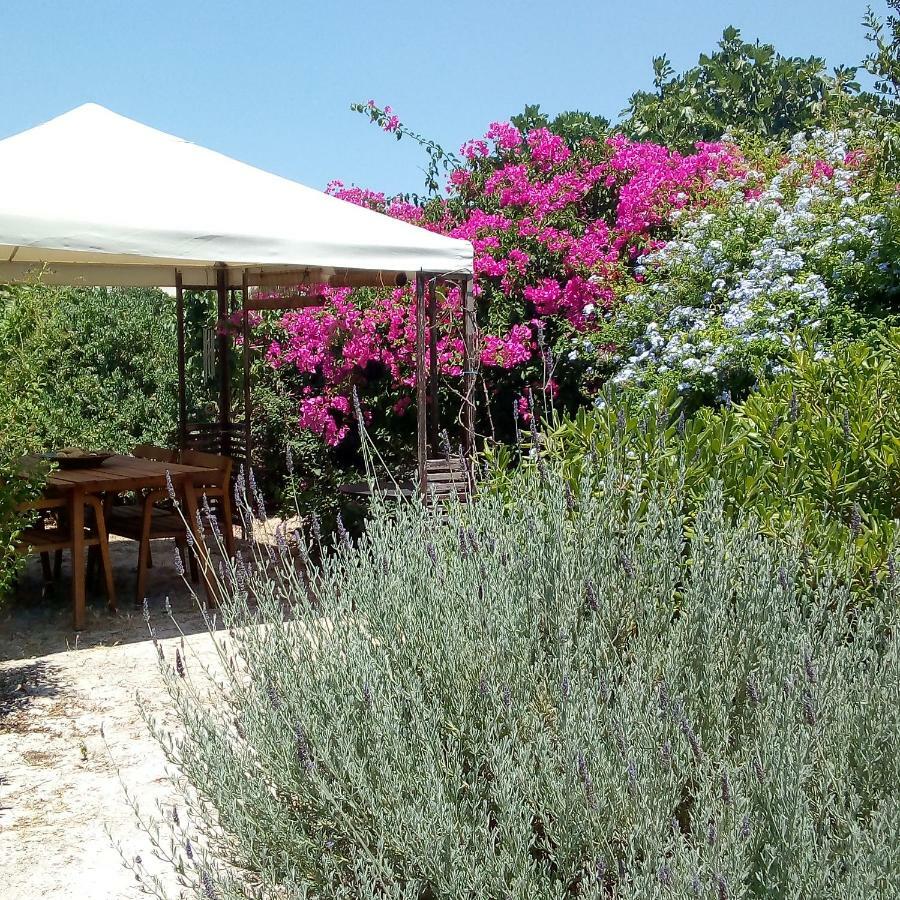 Aegina'S Oasis Villa Exteriör bild