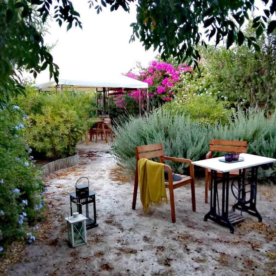 Aegina'S Oasis Villa Exteriör bild